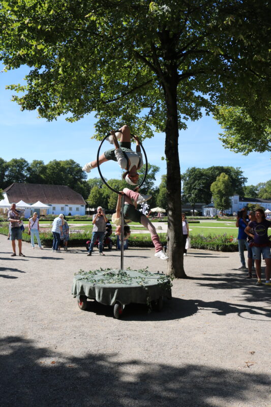 Flying Street Art